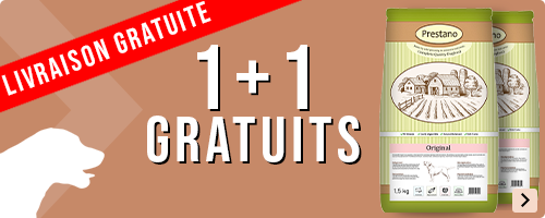 Essayez dès maintenant les croquettes pour chien Prestano riches en vitamines à prix avantageux